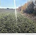 3 Acres Ch Eustache Hache Saint-isidore, New Brunswick