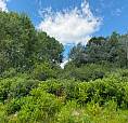 1-Acre Building Lot For Sale – Blackville, Nb