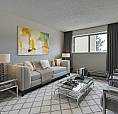 1 Bedroom Basement - 186  Pinehouse Dr.