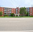1 Bedroom Apartment For Rent In Hamilton
