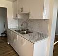 South Etobicoke Renovated Unit - 2 Bedroom 1 Bath - New Kitchen