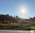 $40,000 - Residential Lot For Sale In Gascons