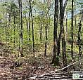 49 900$ - Terrain Résidentiel À Vendre À Wentworth-Nord