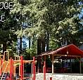 Stunning 2 Bedroom/1 Bath In Beautiful Seymour Heights