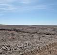 Farm Land For Sale With Gas Well Revenue!