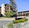 414 9857 Manchester Drive Burnaby, British Columbia