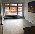Studio Ensoleillé À Côté Du Parc Maisonneuve. Rosemont