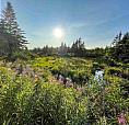 Number 6 Mines Road Port Morien, Nova Scotia