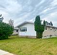 3 Bedroom Full House - Dog Friendly!