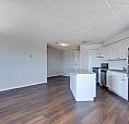 46 Gale Crescent - 1B, Junior, 1Bath Apartment For Rent