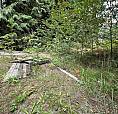 1815 Lower Road Roberts Creek, British Columbia