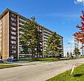 1 Bedroom Apartment For Rent - 24 Forest Manor Road