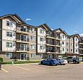 Pet-Friendly Three Bedroom One Bath With In-Suite Laundry For Re