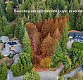 1003 Cedarwood Pl Cobble Hill, British Columbia