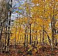 Sherbrooke Lake, Nova Scotia - No Covenants