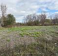 5363 Woodland Drive South Stormont, Ontario