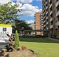 Trent & Kingsley - Apartment For Rent In Cote Saint-Luc