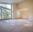 Great 1 Bedroom In Clayton Park