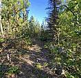 Lot 11 Evergreen Drive Lone Butte, British Columbia