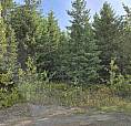 Lot 4 Pollard Road Quesnel, British Columbia