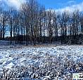 375 000$ - Terre À Bois À Vendre À Compton