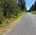 Lot 3 Palmer Rd Errington, British Columbia