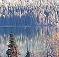 *** Great Price For 5 Acre Lake View Property At Tabor Lake ***