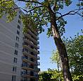 December  Two  Bed  In  Rockcliffe Park Only $1799.00