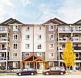 Pet-Friendly Two Bedroom Two Bath With In-Suite Laundry For Rent