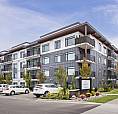 Parksville 2 Bedroom + Den, 2 Bath Apartment For Rent: New Parks