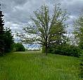 0 David Street Bifrost Rm, Manitoba