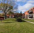 Brand New Fully Renovated 2 Bedroom Suites