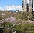 515 2188 Madison Avenue Burnaby, British Columbia