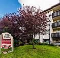 1 Bedroom Apartment For Rent - 3287 Quadra Street