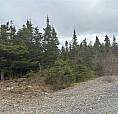 Cabin Lot #3