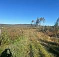 Mclure Rd. (Lot 3), Titusville