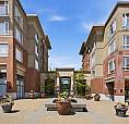 319 2970 King George Boulevard Surrey, British Columbia