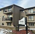 Spacious 1 Bedroom Cat Friendly Suite In Clearview!