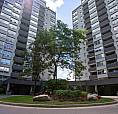 2 Bedroom Apartment For Rent - 80/82 Ridout Street South
