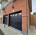 Bsmt - 45 Ball Crescent Whitby (williamsburg), Ontario