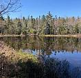 Bear Trap At Ponhook Lake Close To Bridgewater Ns