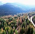 766 Drakes Road Rossland, British Columbia