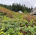 Lt 65 Haggard Cove Port Alberni, British Columbia