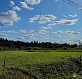 65 000$ - Terrain Résidentiel À St-Prosper-De-Dorchester