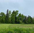 Leitches Creek Road. Leitches Creek , Ns, B2A 4A9