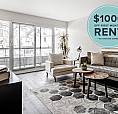 Great Priced One Bed Apartment - Near Downtown/wortley/vic