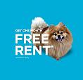 Pet-friendly Two Bedroom One Bath With In-suite Laundry For Rent