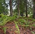201 Grantville St Salt Spring, British Columbia