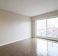 One Month Free!!   1 Bedroom Centretown -  Elgin/bank/downtown