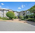 116 14885 105 Avenue Surrey, British Columbia